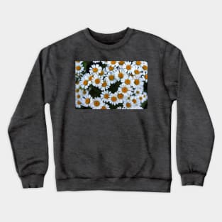 Daisies Crewneck Sweatshirt